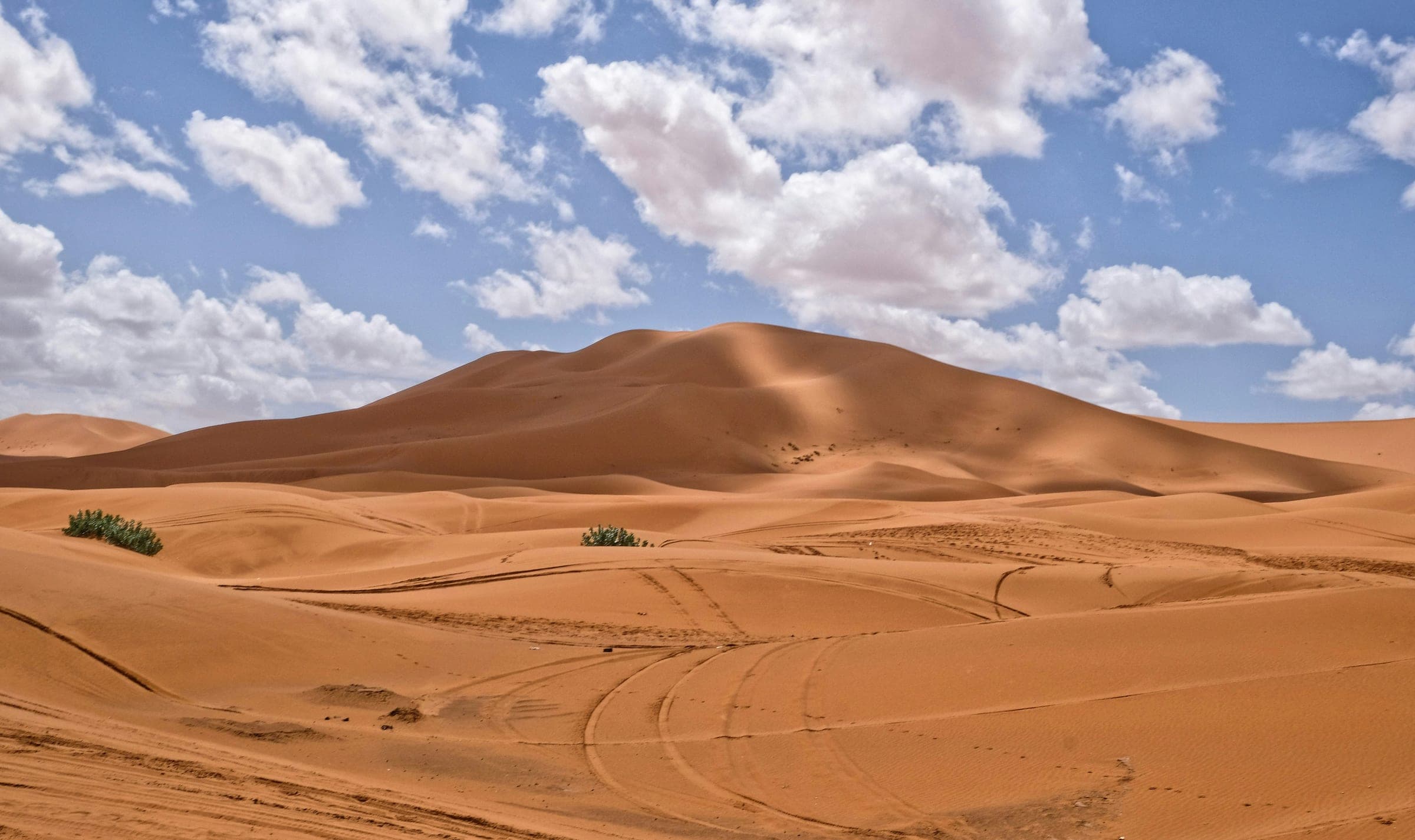 Desert